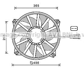 AVA QUALITY COOLING cn7552 -  Вентилятор, охлаждение двигателя